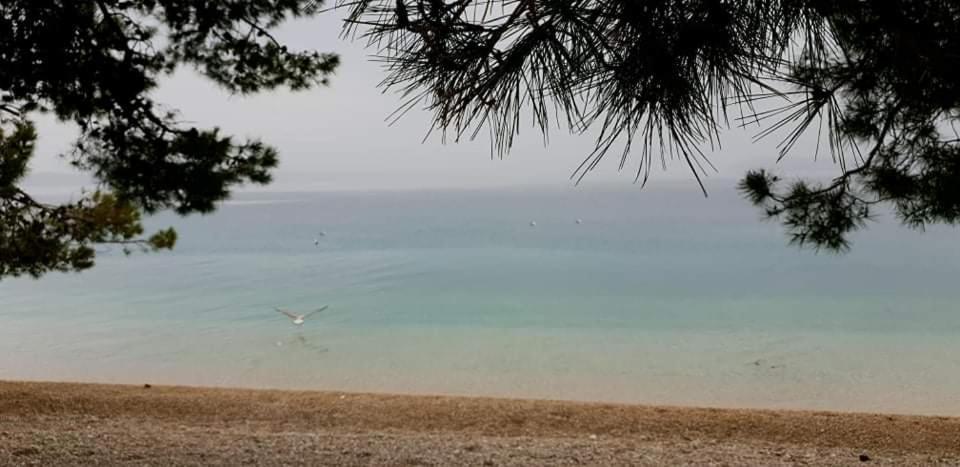Suncana Sara Tučepi Εξωτερικό φωτογραφία